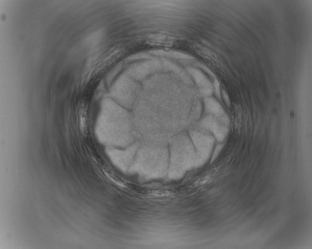 X0000066961154200604211834