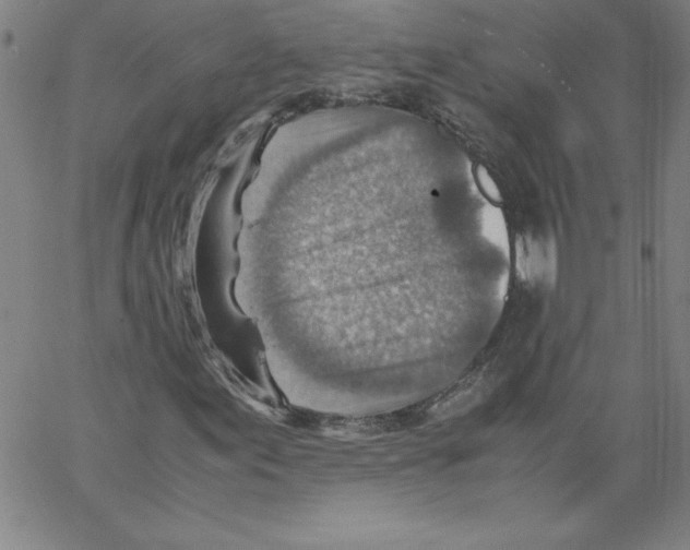 X0000066961155200604211834