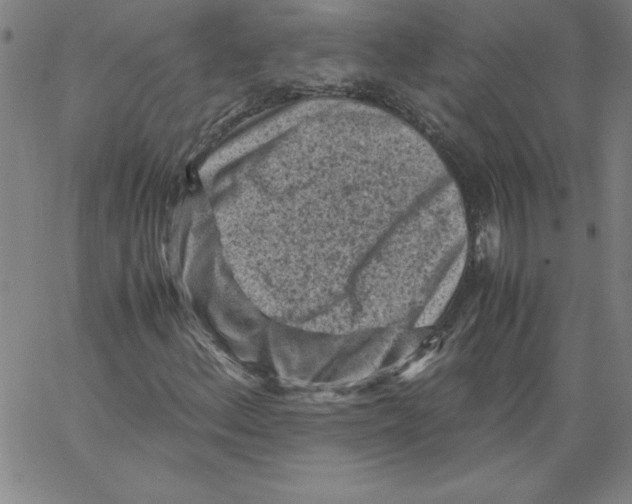 X0000066961156200604211834