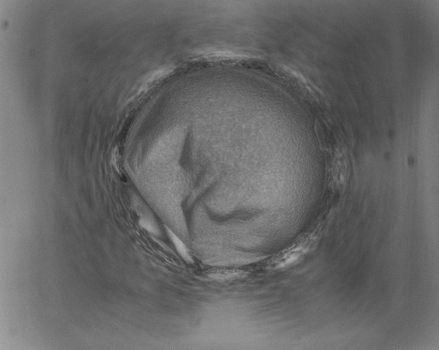 X0000066961157200604211834