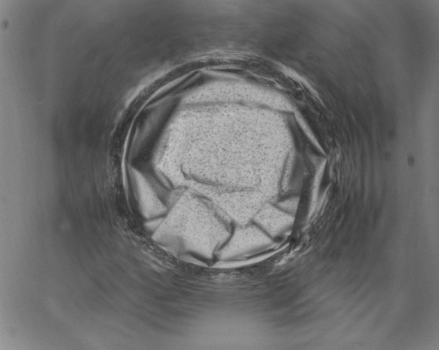 X0000066961160200604211834