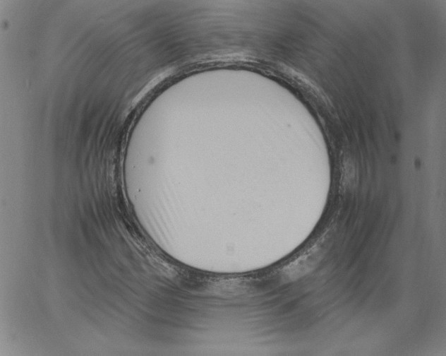 X0000066961162200604211834