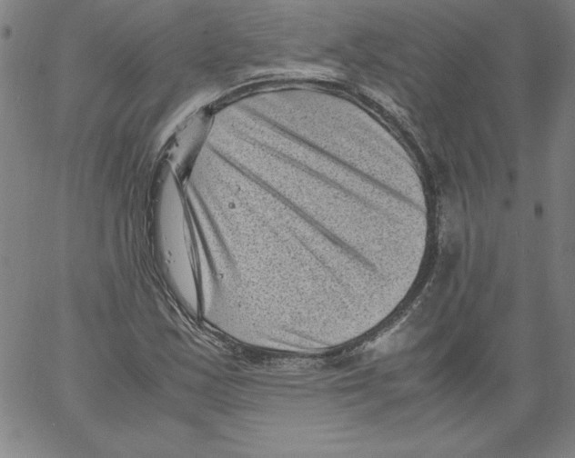 X0000066961163200604211834