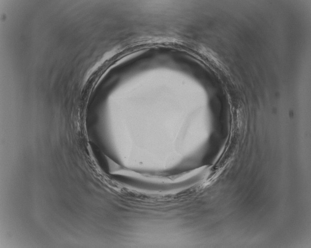 X0000066961165200604211834