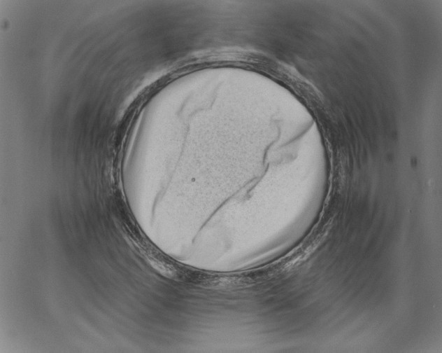 X0000066961166200604211834