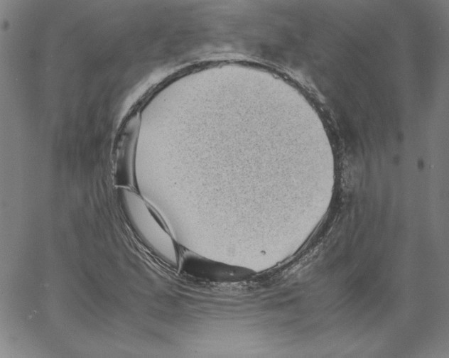 X0000066961167200604211834