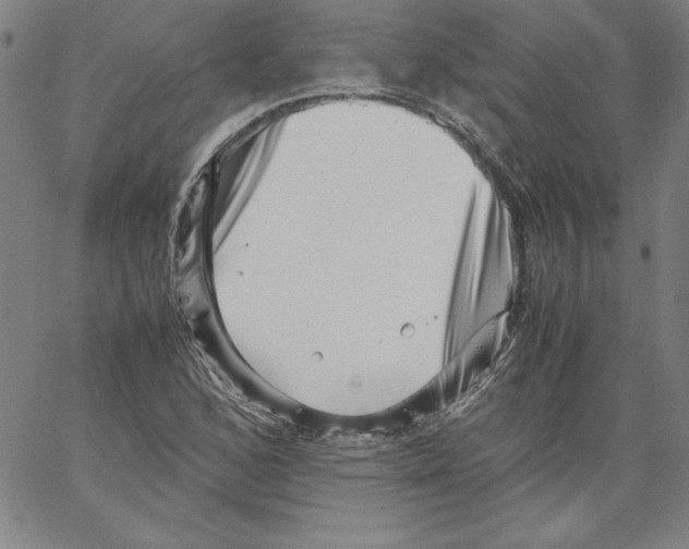 X0000066961168200604211834