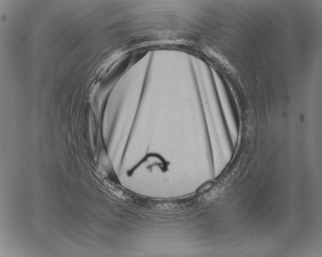 X0000066961169200604211834