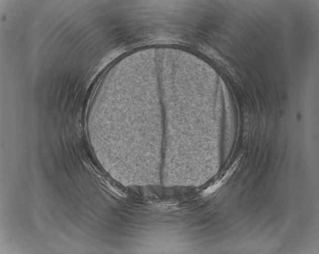 X0000066961170200604211834