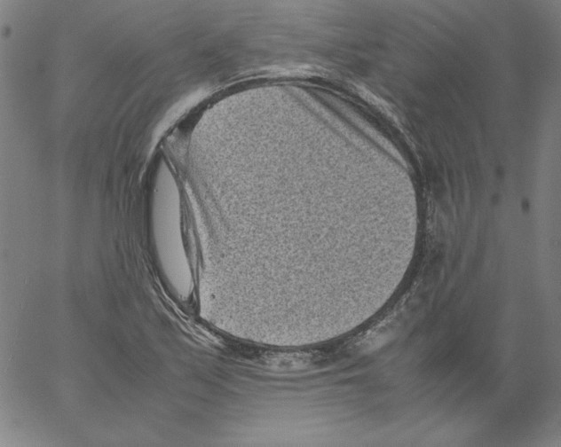 X0000066961171200604211834