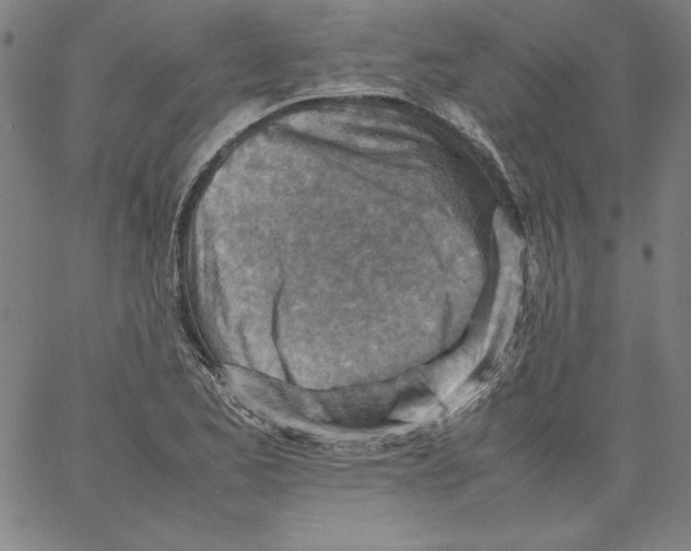 X0000066961173200604211834