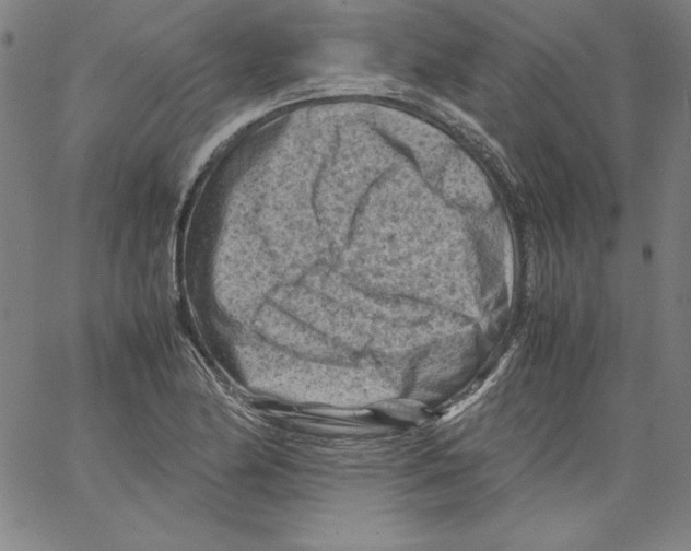 X0000066961174200604211834