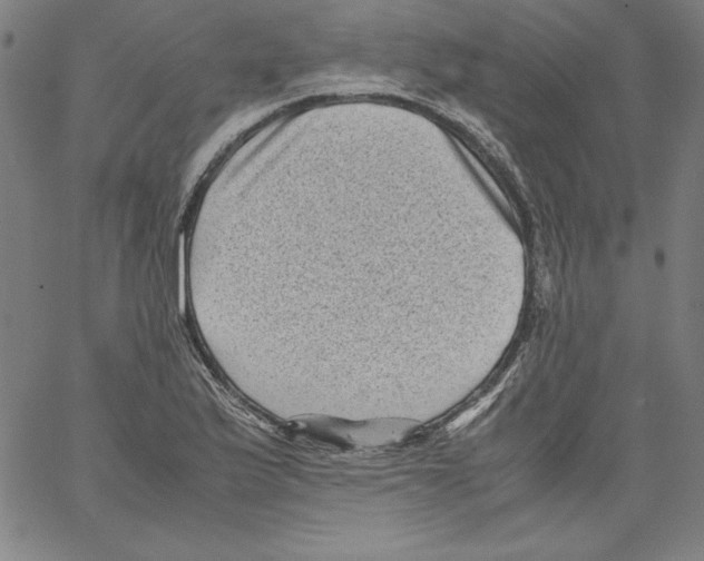 X0000066961175200604211834