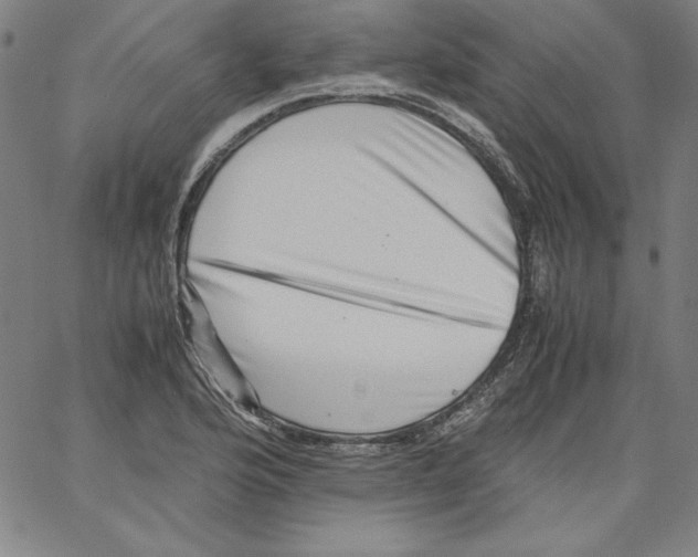 X0000066961176200604211834