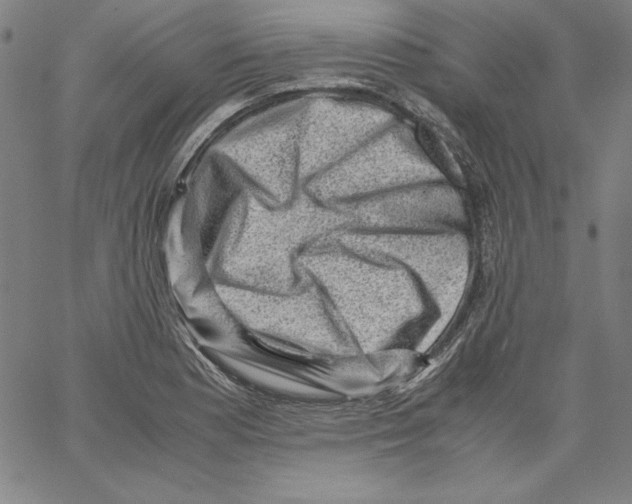 X0000066961177200604211833