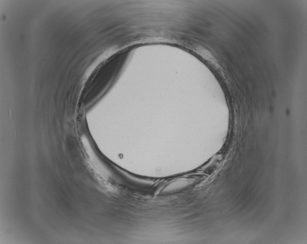 X0000066961181200604211833