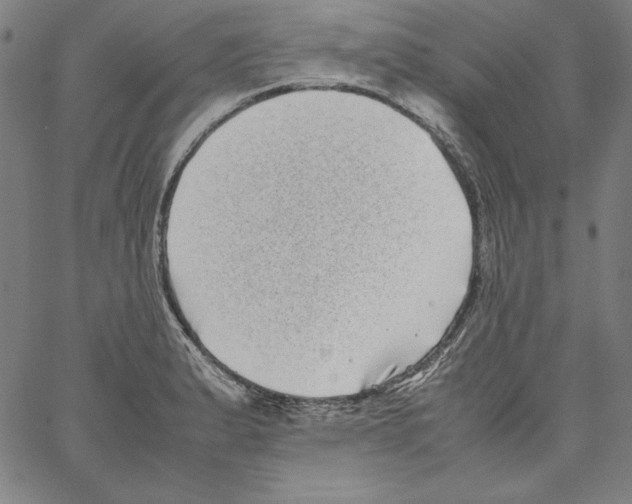 X0000066961183200604211833