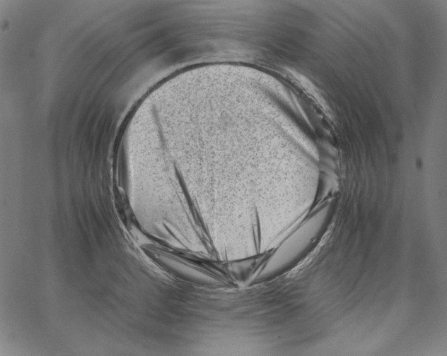 X0000066961184200604211833