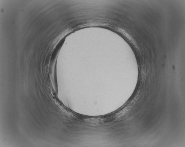 X0000066961185200604211833