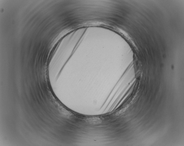 X0000066961186200604211833