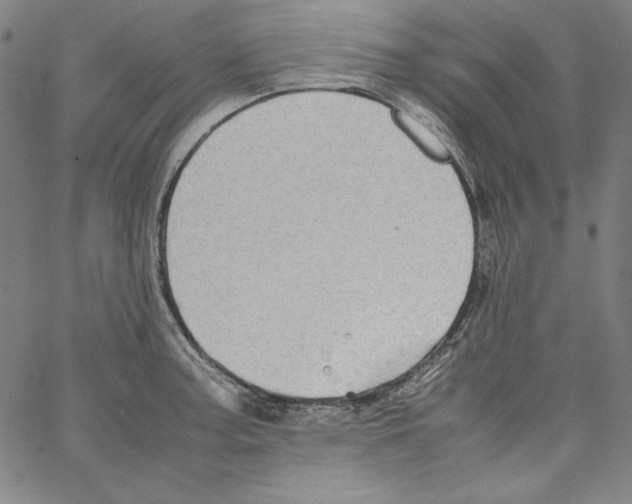 X0000066961187200604211833