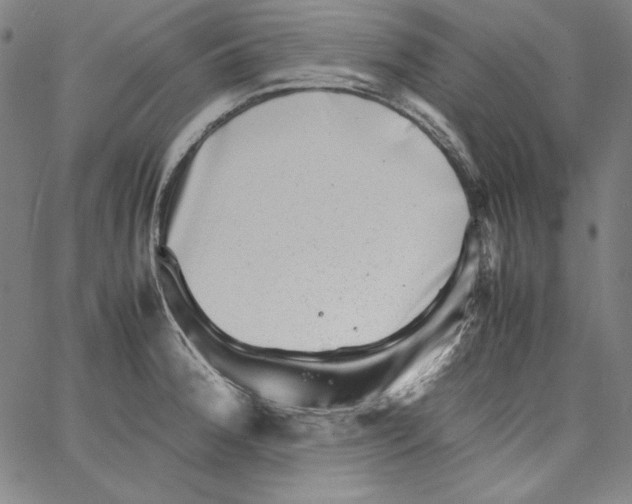 X0000066961188200604211833