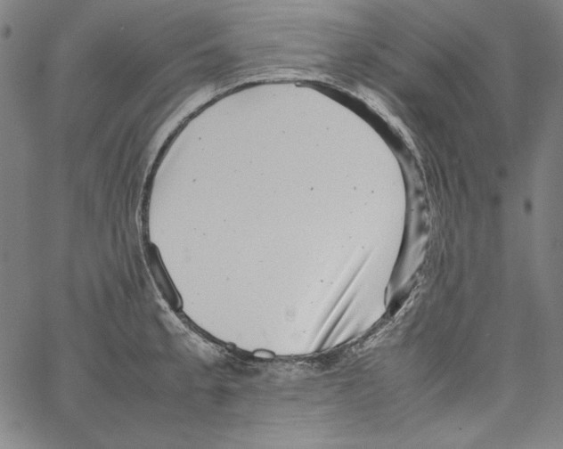 X0000066961189200604211833