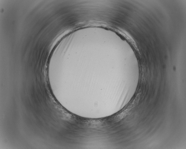 X0000066961190200604211833