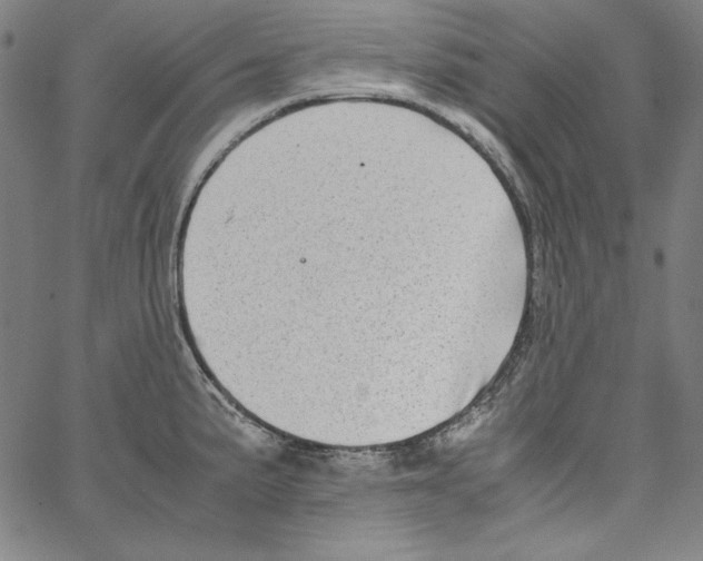 X0000066961191200604211833