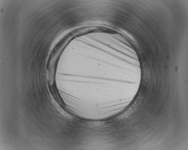 X0000066961192200604211833