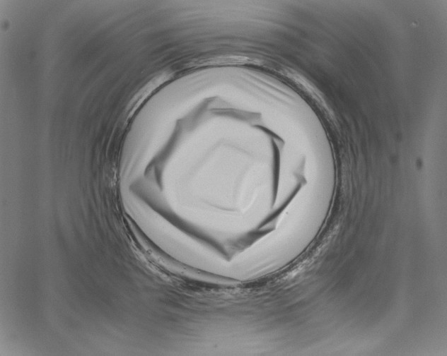 X0000066961193200604211833