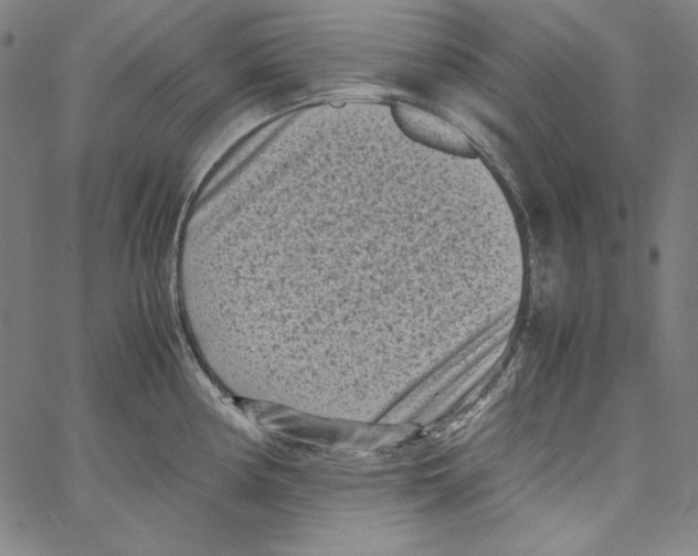 X0000066961194200604211833