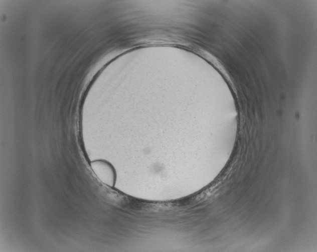 X0000066961195200604211833