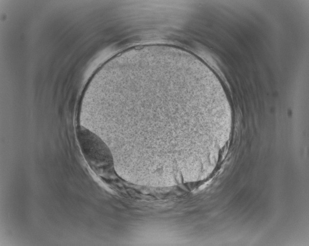 X0000066961197200604211833