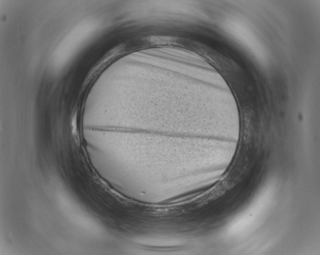 X0000066961198200604211833