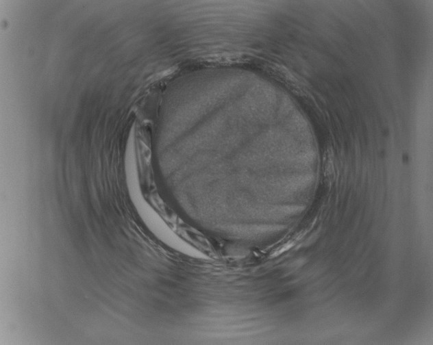 X0000066961202200604211832