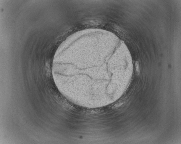 X0000066961203200604211832