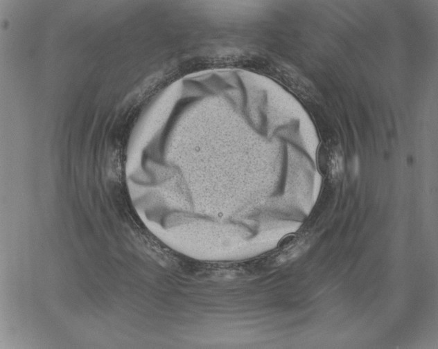 X0000066961204200604211832