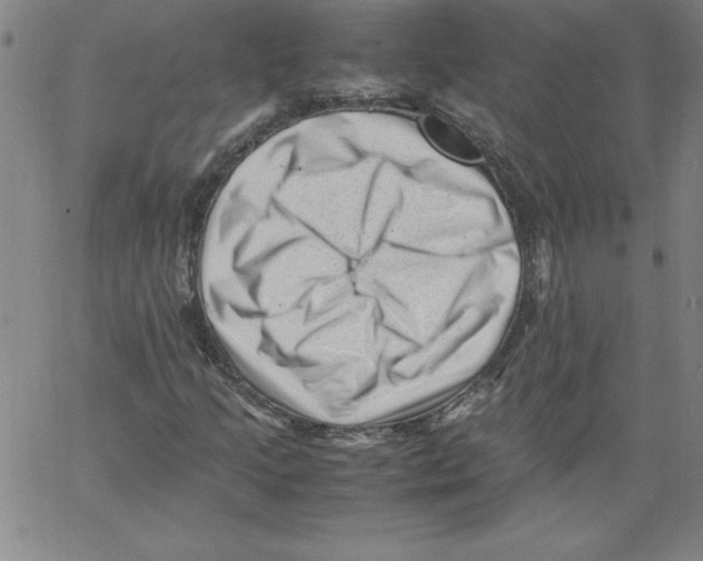 X0000066961205200604211832