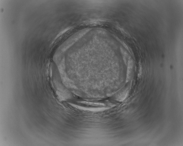 X0000066961206200604211832