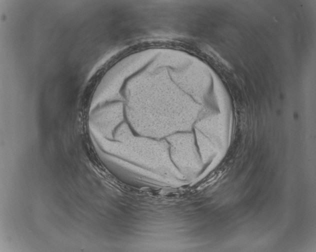 X0000066961208200604211832