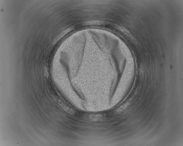 X0000066961209200604211832