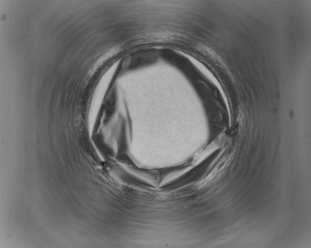 X0000066961210200604211832