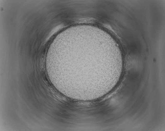 X0000066961211200604211832