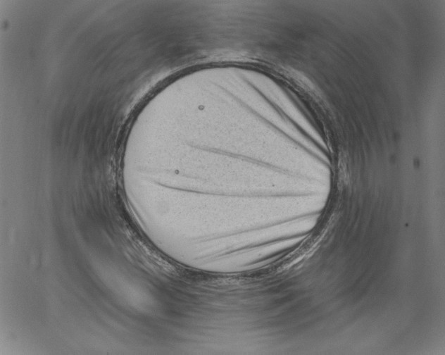 X0000066961212200604211833