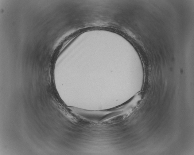 X0000066961214200604211833