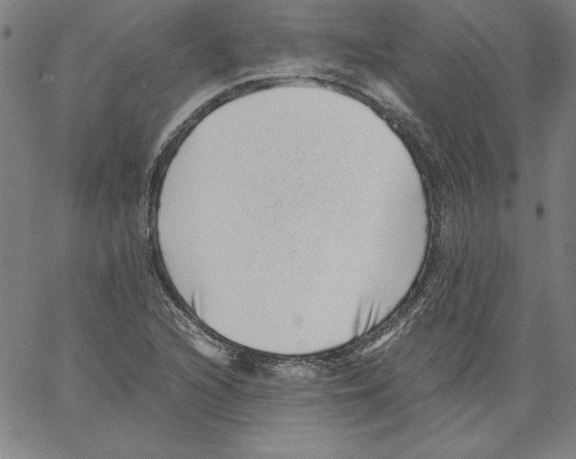 X0000066961216200604211833