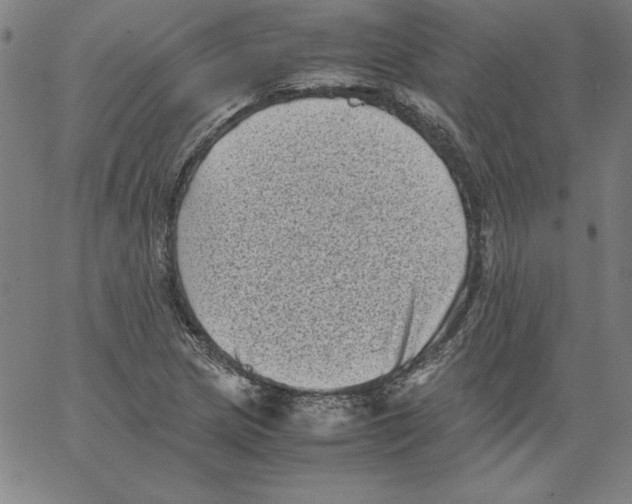 X0000066961217200604211833