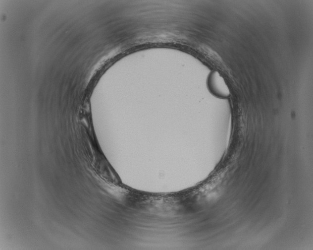 X0000066961218200604211833