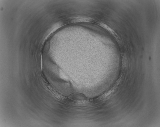 X0000066961219200604211833